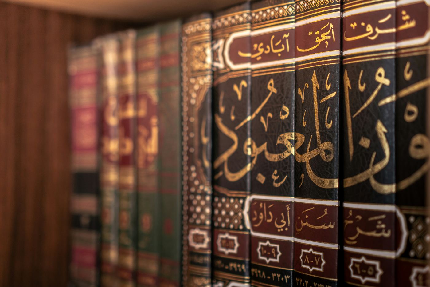 اللغة العربية