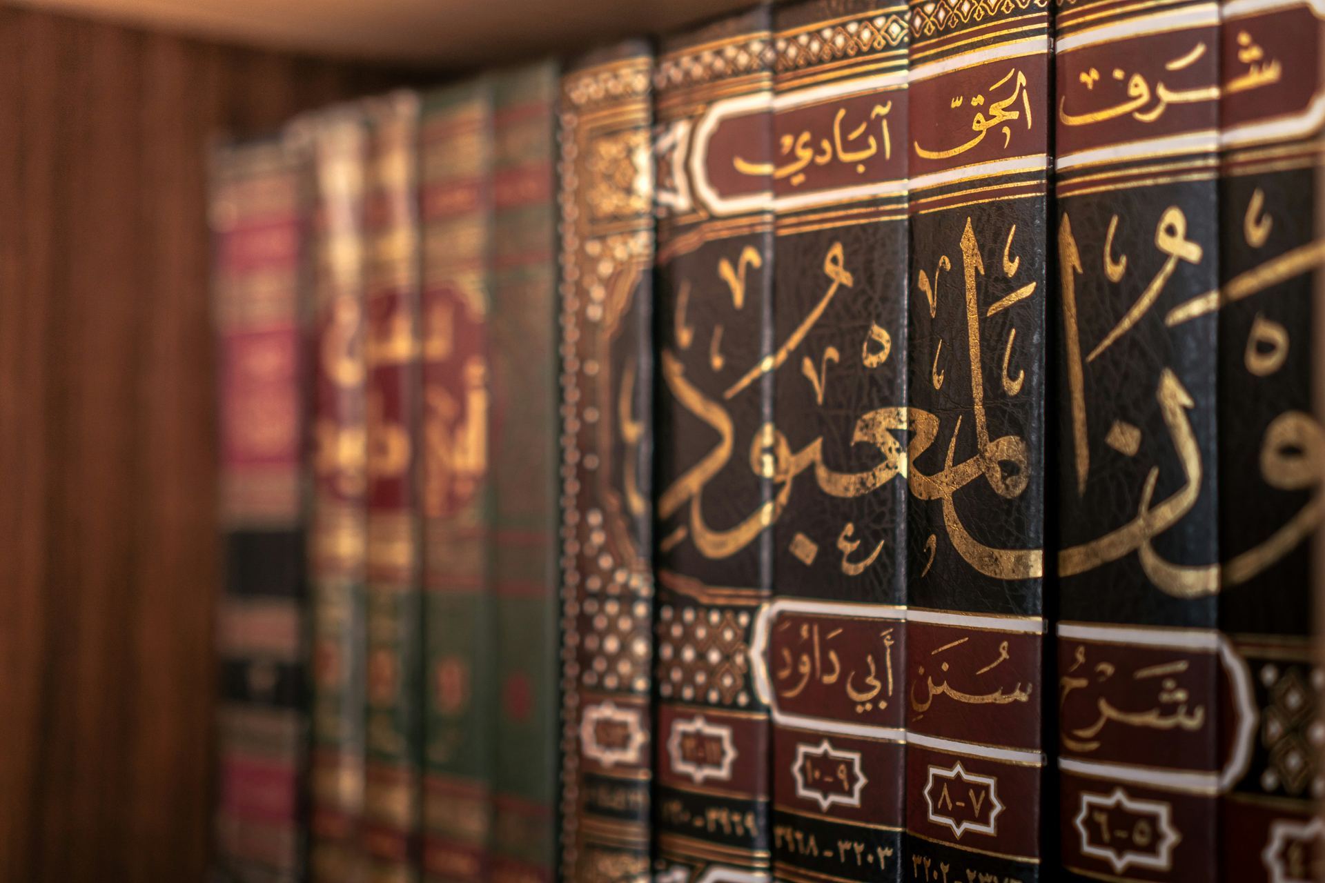 اللغة العربية Course